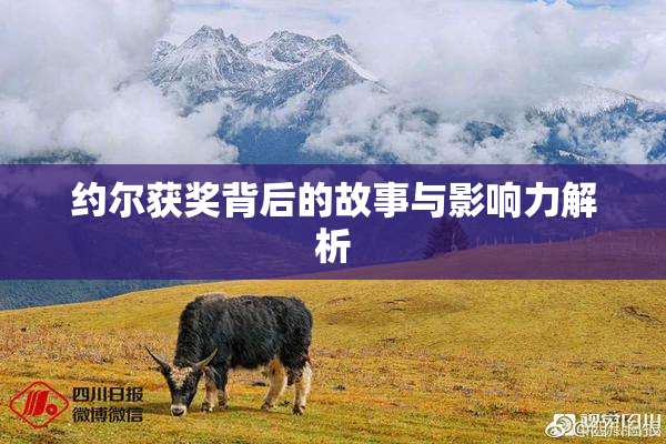 约尔获奖背后的故事与影响力解析