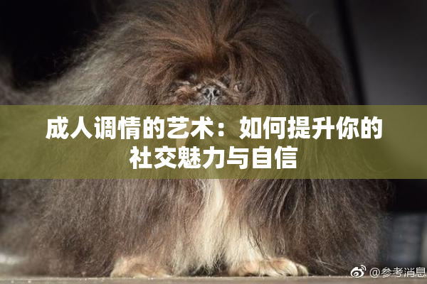 成人调情的艺术：如何提升你的社交魅力与自信