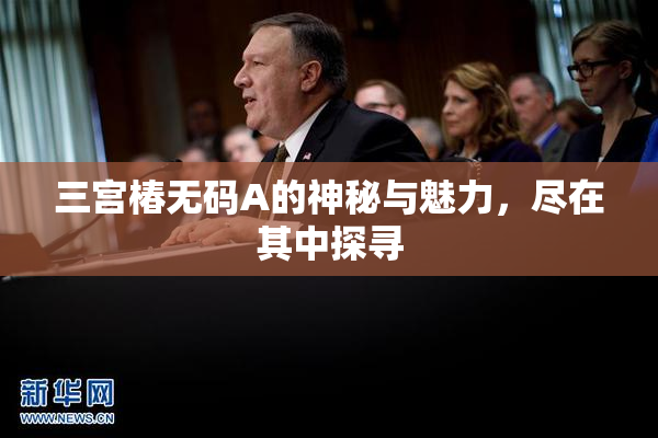 三宫椿无码A的神秘与魅力，尽在其中探寻