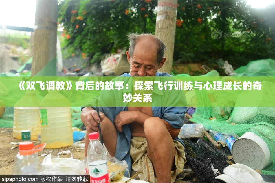 《双飞调教》背后的故事：探索飞行训练与心理成长的奇妙关系