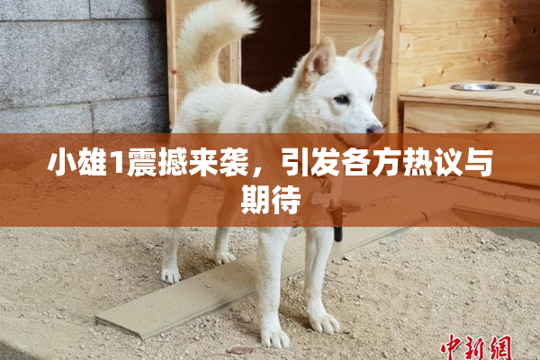 小雄1震撼来袭，引发各方热议与期待