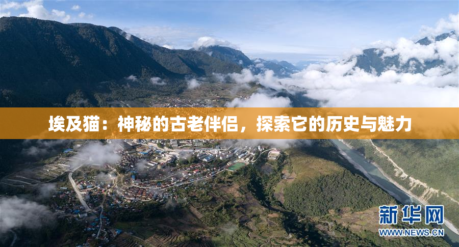 埃及猫：神秘的古老伴侣，探索它的历史与魅力