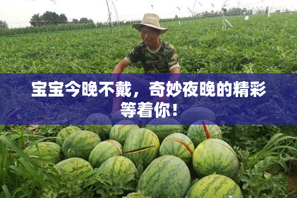 宝宝今晚不戴，奇妙夜晚的精彩等着你！