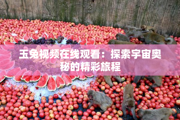 玉兔视频在线观看：探索宇宙奥秘的精彩旅程
