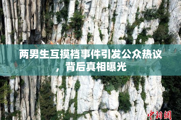 两男生互摸裆事件引发公众热议，背后真相曝光