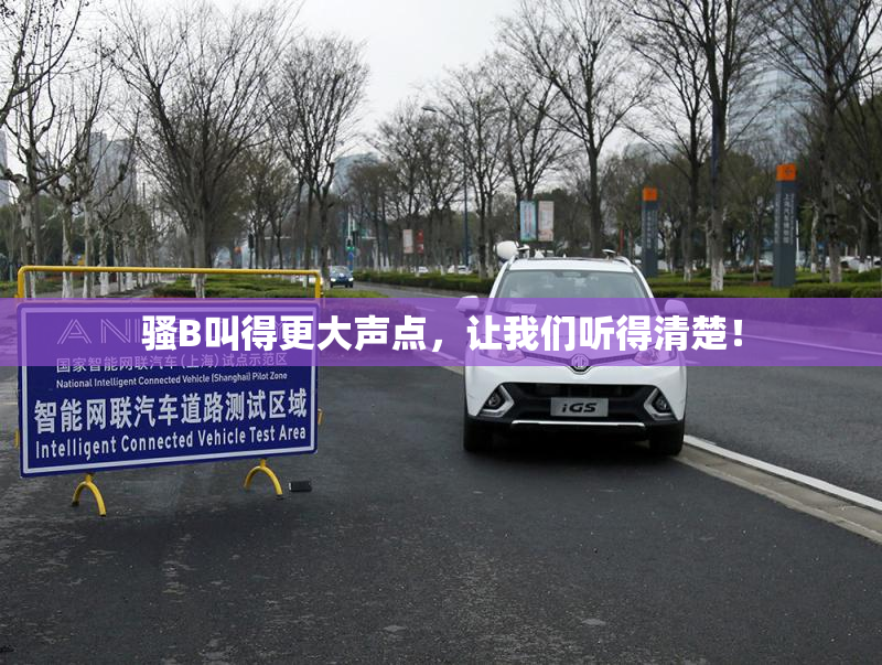 骚B叫得更大声点，让我们听得清楚！