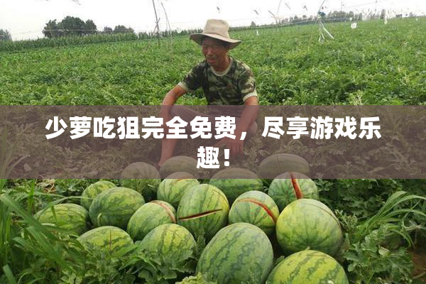少萝吃狙完全免费，尽享游戏乐趣！