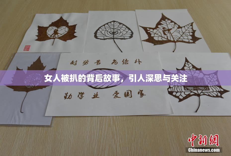 女人被扒的背后故事，引人深思与关注