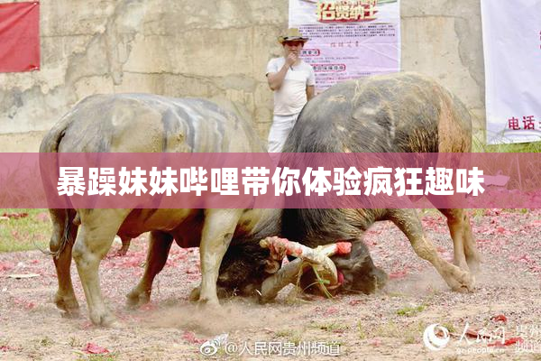 暴躁妹妹哔哩带你体验疯狂趣味