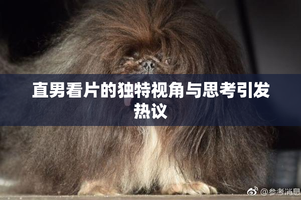 直男看片的独特视角与思考引发热议