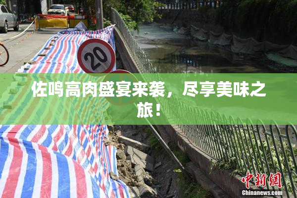 佐鸣高肉盛宴来袭，尽享美味之旅！