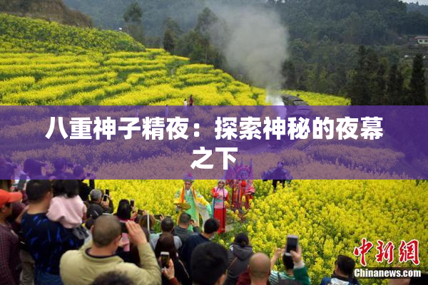 八重神子精夜：探索神秘的夜幕之下