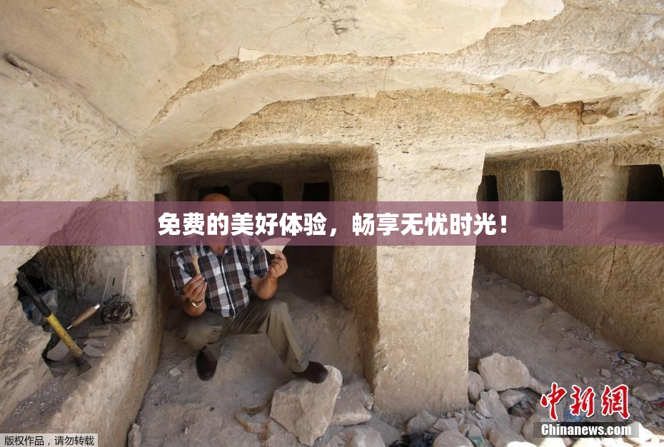免费的美好体验，畅享无忧时光！