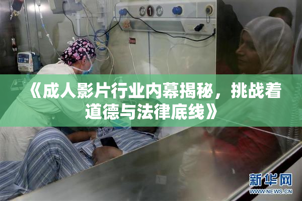 《成人影片行业内幕揭秘，挑战着道德与法律底线》