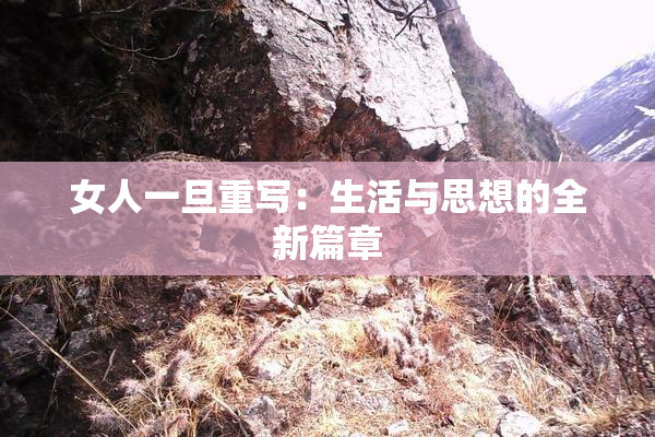 女人一旦重写：生活与思想的全新篇章