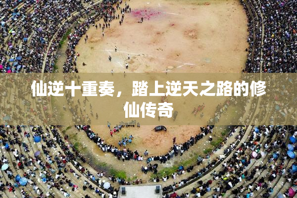 仙逆十重奏，踏上逆天之路的修仙传奇