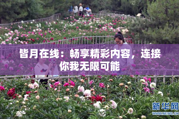 皆月在线：畅享精彩内容，连接你我无限可能