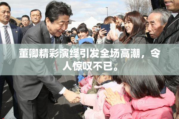 董卿精彩演绎引发全场高潮，令人惊叹不已。