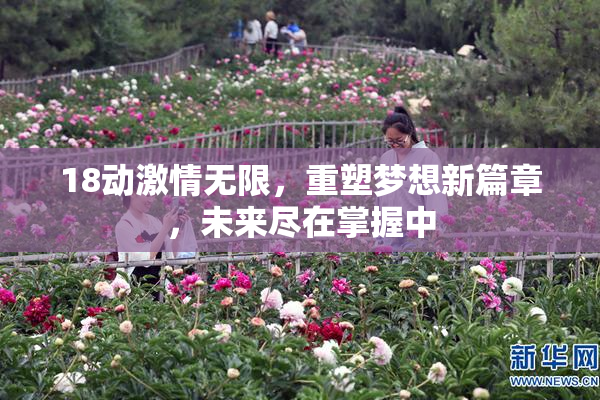 18动激情无限，重塑梦想新篇章，未来尽在掌握中
