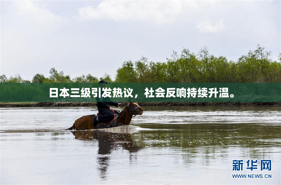 日本三级引发热议，社会反响持续升温。