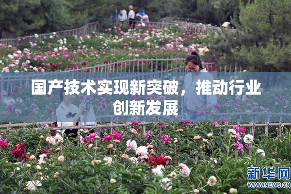 国产技术实现新突破，推动行业创新发展
