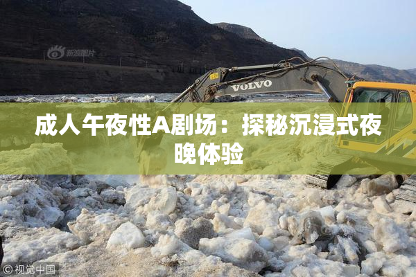成人午夜性A剧场：探秘沉浸式夜晚体验