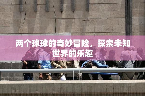 两个球球的奇妙冒险，探索未知世界的乐趣