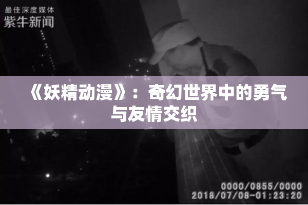 《妖精动漫》：奇幻世界中的勇气与友情交织