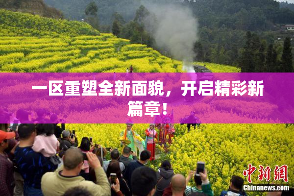 一区重塑全新面貌，开启精彩新篇章！