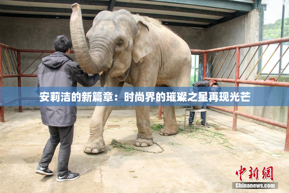 安莉洁的新篇章：时尚界的璀璨之星再现光芒
