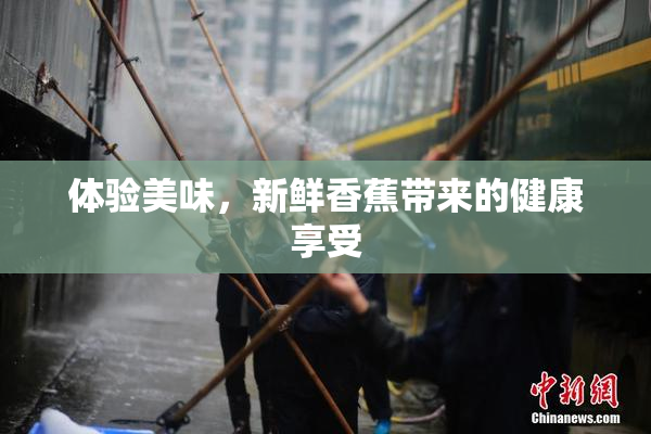 体验美味，新鲜香蕉带来的健康享受