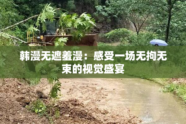 韩漫无遮羞漫：感受一场无拘无束的视觉盛宴
