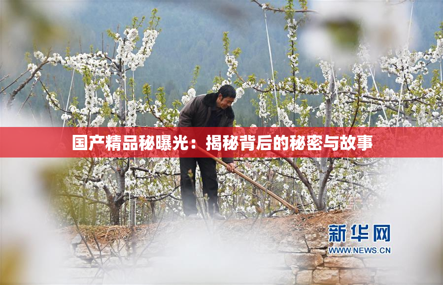 国产精品秘曝光：揭秘背后的秘密与故事