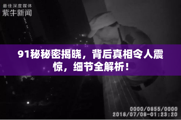 91秘秘密揭晓，背后真相令人震惊，细节全解析！