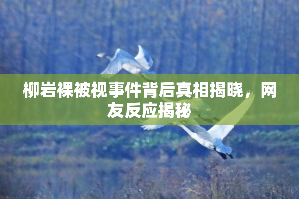 柳岩裸被视事件背后真相揭晓，网友反应揭秘