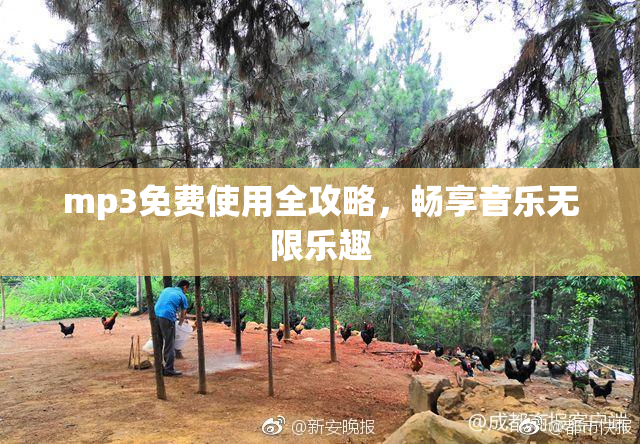 mp3免费使用全攻略，畅享音乐无限乐趣