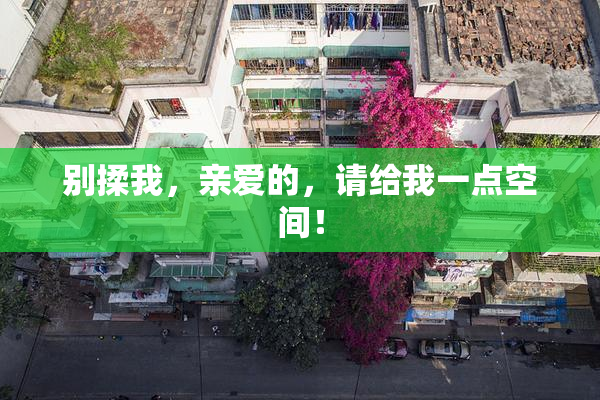 别揉我，亲爱的，请给我一点空间！