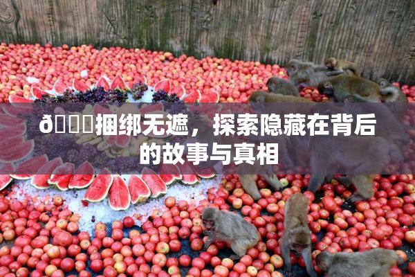 🔞捆绑无遮，探索隐藏在背后的故事与真相