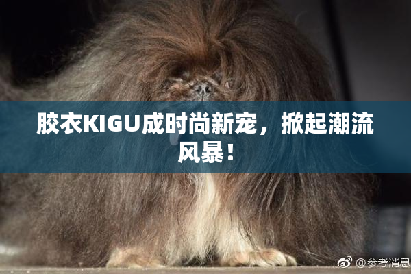 胶衣KIGU成时尚新宠，掀起潮流风暴！
