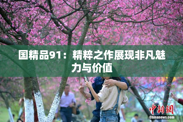 国精品91：精粹之作展现非凡魅力与价值