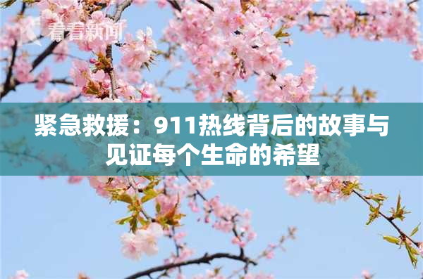 紧急救援：911热线背后的故事与见证每个生命的希望