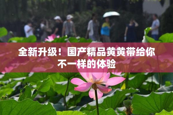 全新升级！国产精品黄黄带给你不一样的体验