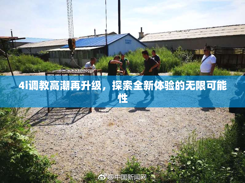 4i调教高潮再升级，探索全新体验的无限可能性