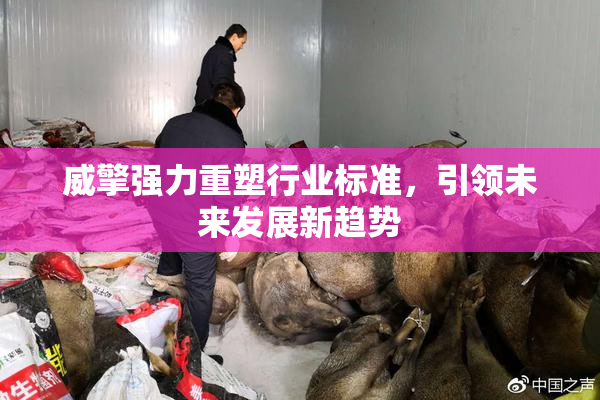 威擎强力重塑行业标准，引领未来发展新趋势
