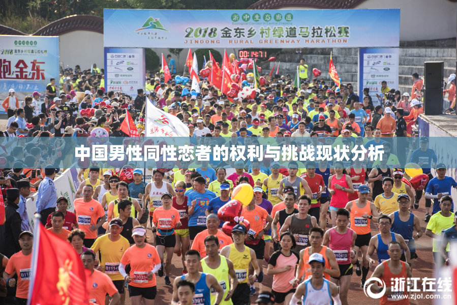 中国男性同性恋者的权利与挑战现状分析