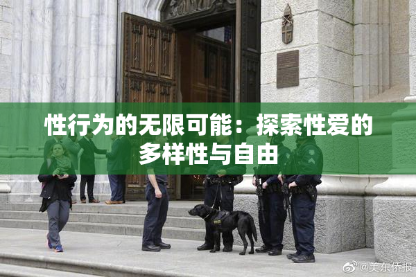 性行为的无限可能：探索性爱的多样性与自由
