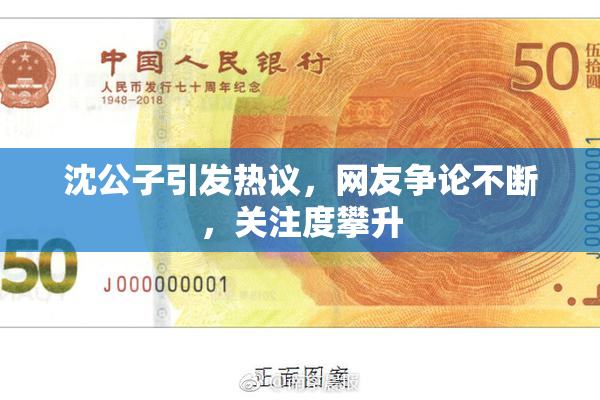 沈公子引发热议，网友争论不断，关注度攀升