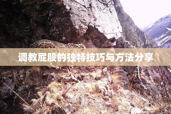 调教屁股的独特技巧与方法分享