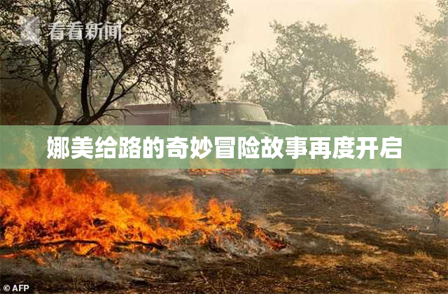 娜美给路的奇妙冒险故事再度开启