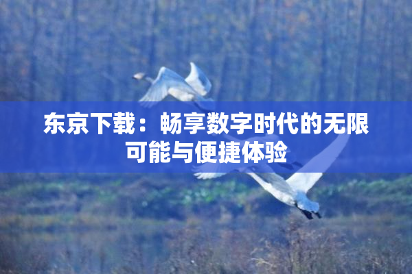 东京下载：畅享数字时代的无限可能与便捷体验